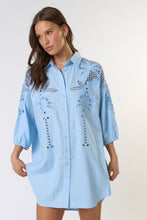 Blue Jay Shirt Dress