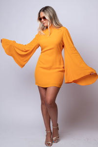 Fabianna Flare Sleeve Dress